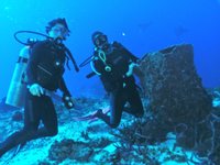 Careyitos Divers (Cozumel) - All You Need to Know BEFORE You Go