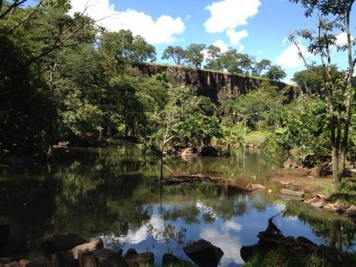 THE 15 BEST Things to Do in Ribeirao Preto - 2023 (with Photos) -  Tripadvisor