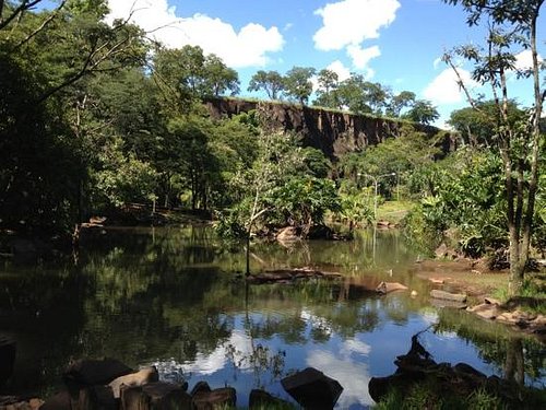 THE 15 BEST Things to Do in Ribeirao Preto - 2023 (with Photos) -  Tripadvisor