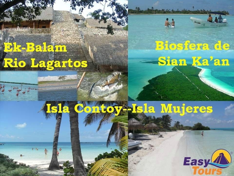 easy tours playa del carmen