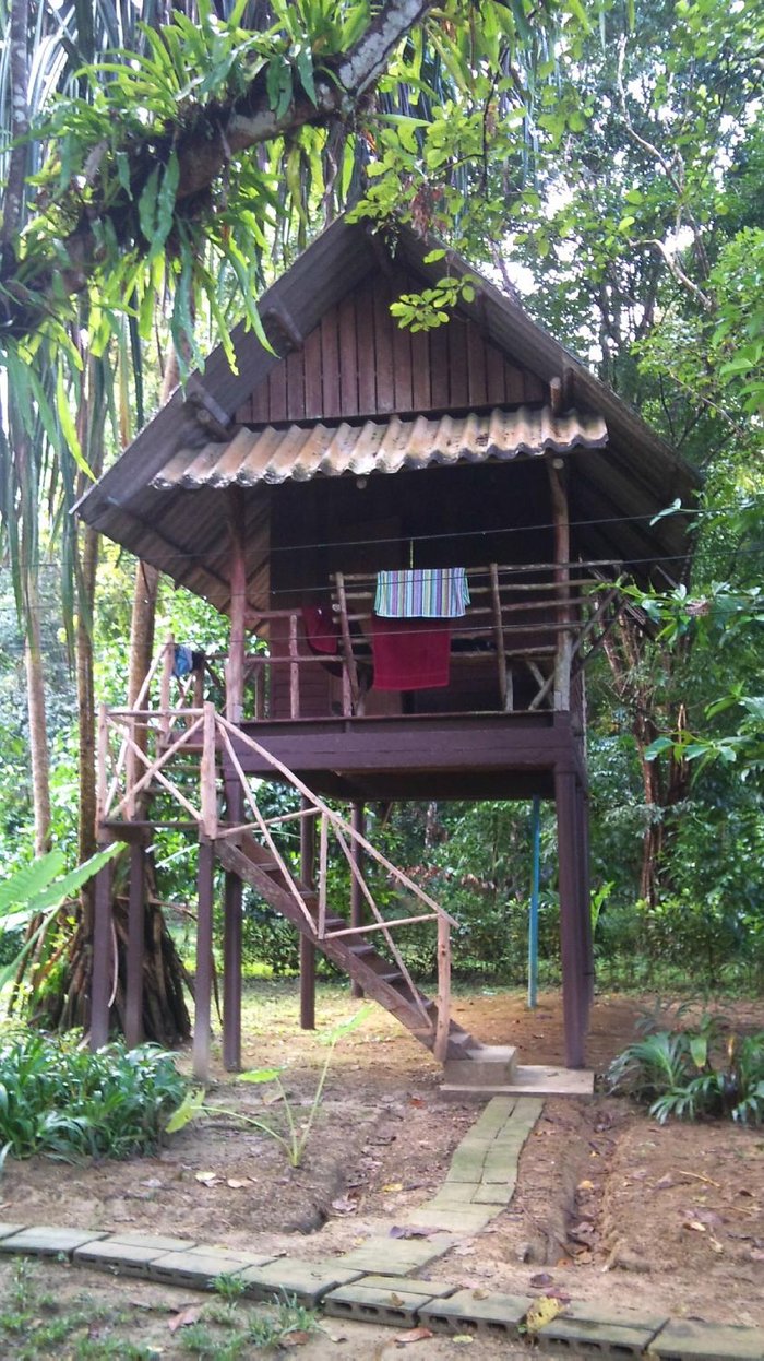 Khao Sok Valley Lodge Rooms: Pictures & Reviews - Tripadvisor