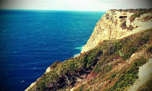                   cap blanc
                
