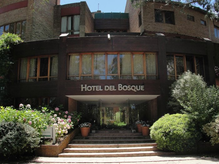 Imagen 3 de Hotel Del Bosque