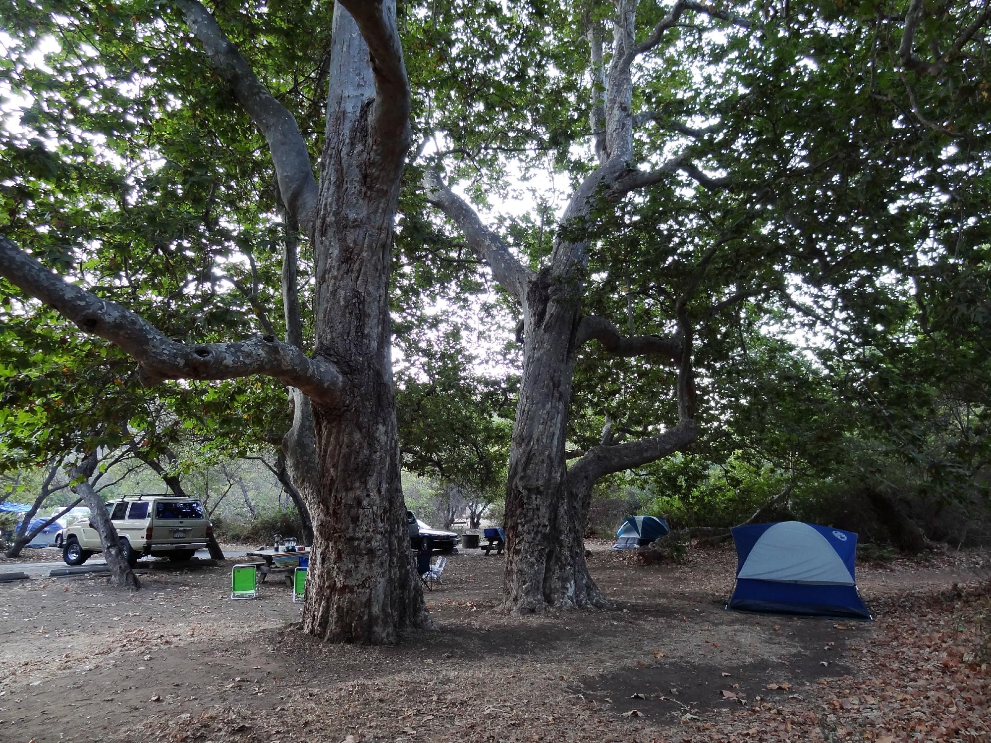 Sycamore canyon campground discount