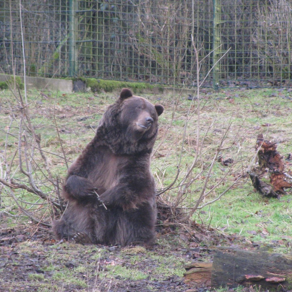 Heimat-Tierpark Olderdissen, Биелефельд: лучшие советы перед посещением -  Tripadvisor