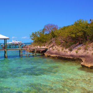                  @ Dive Guana
                