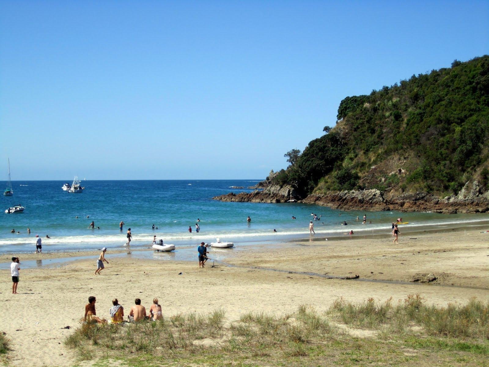 Tawa Lodge Waiheke Island by null