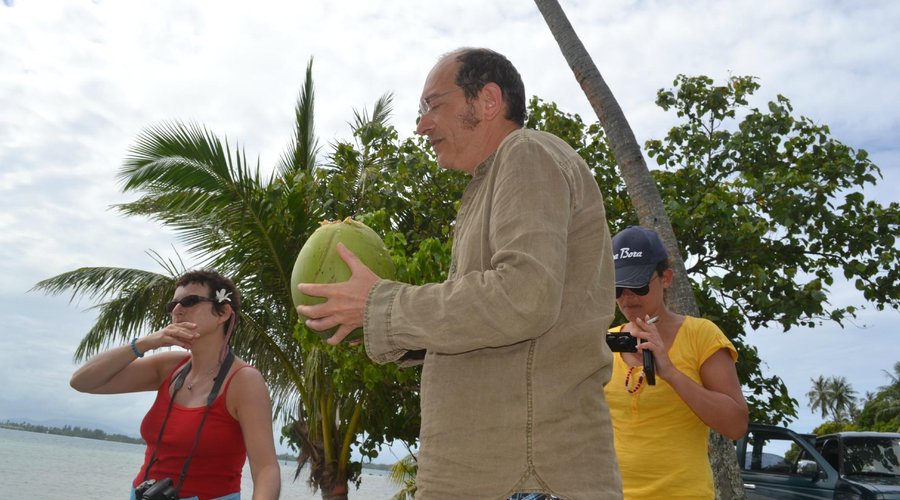 pause coconut