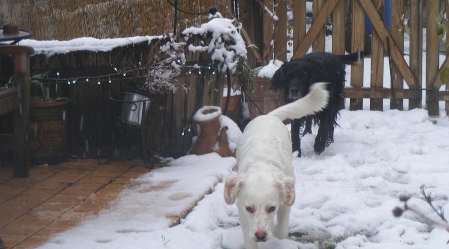 winter fun