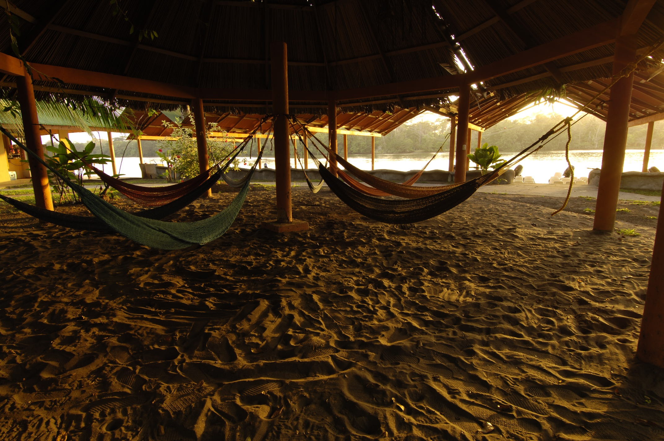 Hotel photo 6 of Laguna Lodge Tortuguero.