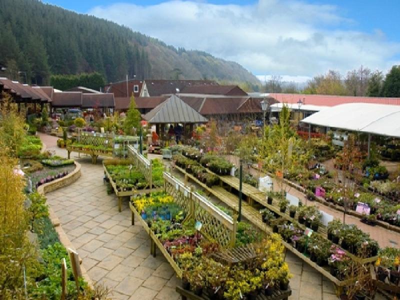 Cardwell garden centre discount
