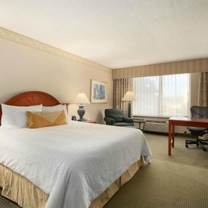 King Standard Room