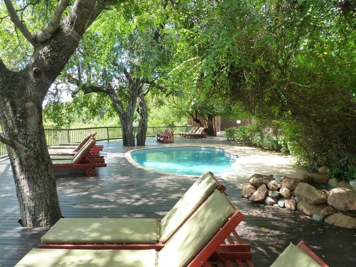 Sabi Sabi Bush Lodge Pool: Pictures & Reviews - Tripadvisor