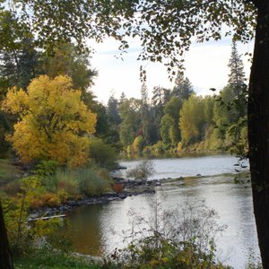                   Great fishing
                