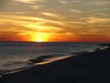 Livesonthebeach