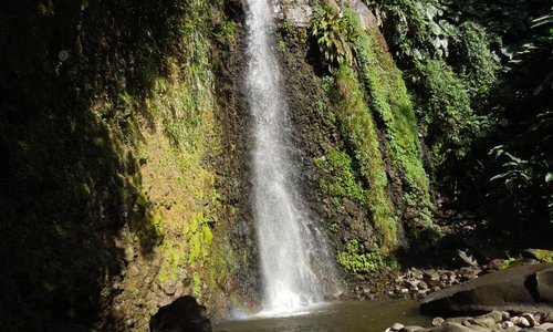                   dark view falls
                