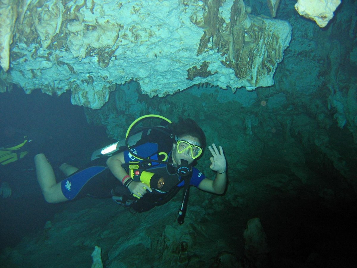 dive life playa del carmen