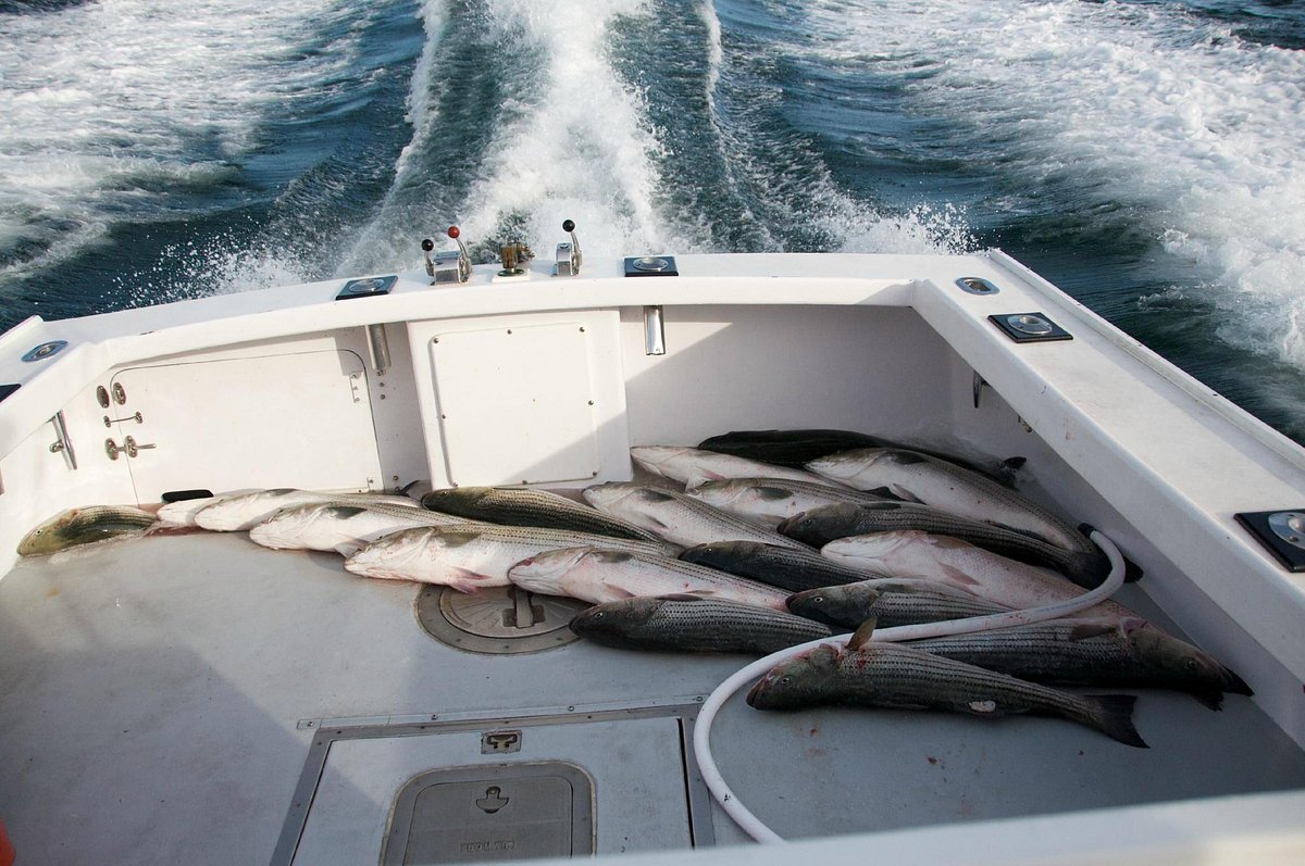 Magellan Sportsfishing Charters - All You Need to Know BEFORE You Go (2024)