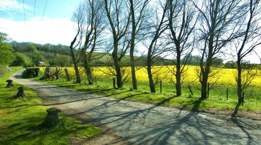 Farm lane access to property