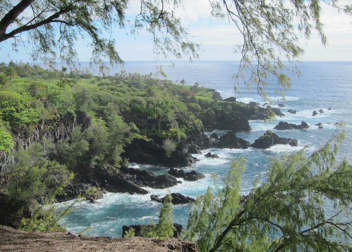 Coast View