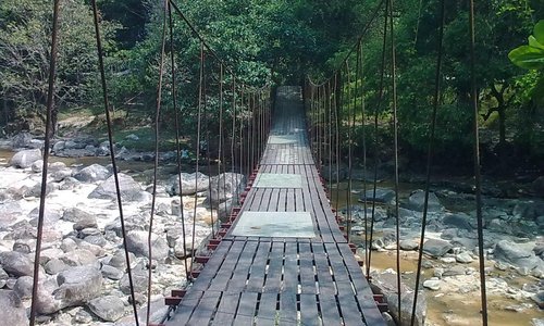 Hanging bridge