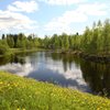 What to do and see in Taivalkoski, Northern Ostrobothnia: The Best Things to do