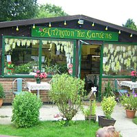 Arlington Tea Garden