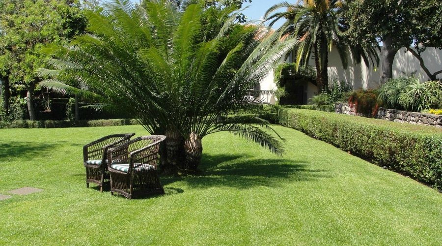 Quinta da Casa Branca gardens