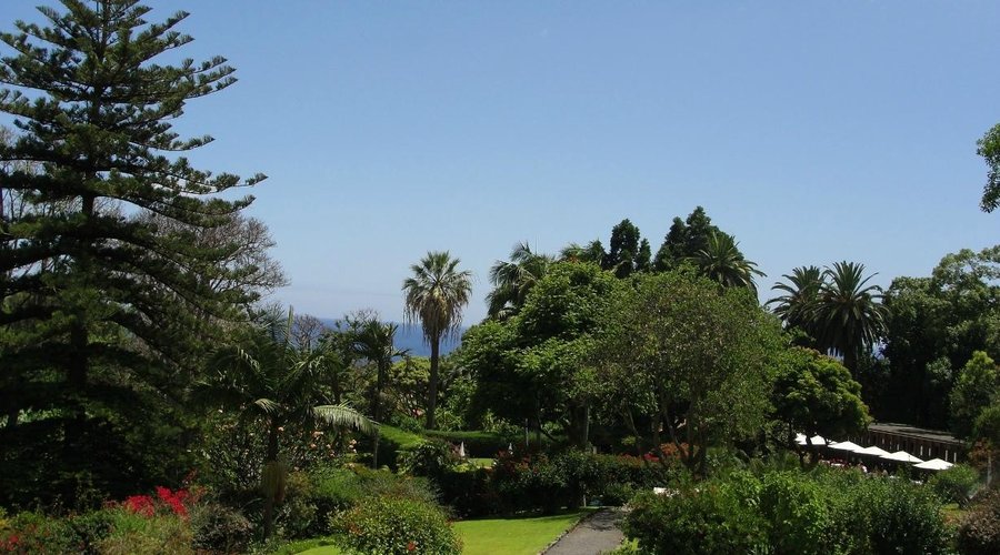 Quinta da Casa Branca gardens
