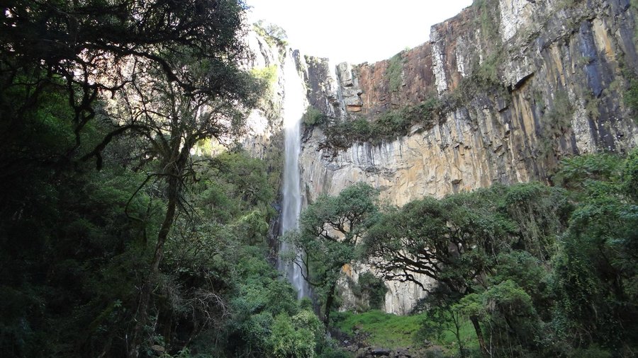                   Chegando no Avencal por baixo
                
