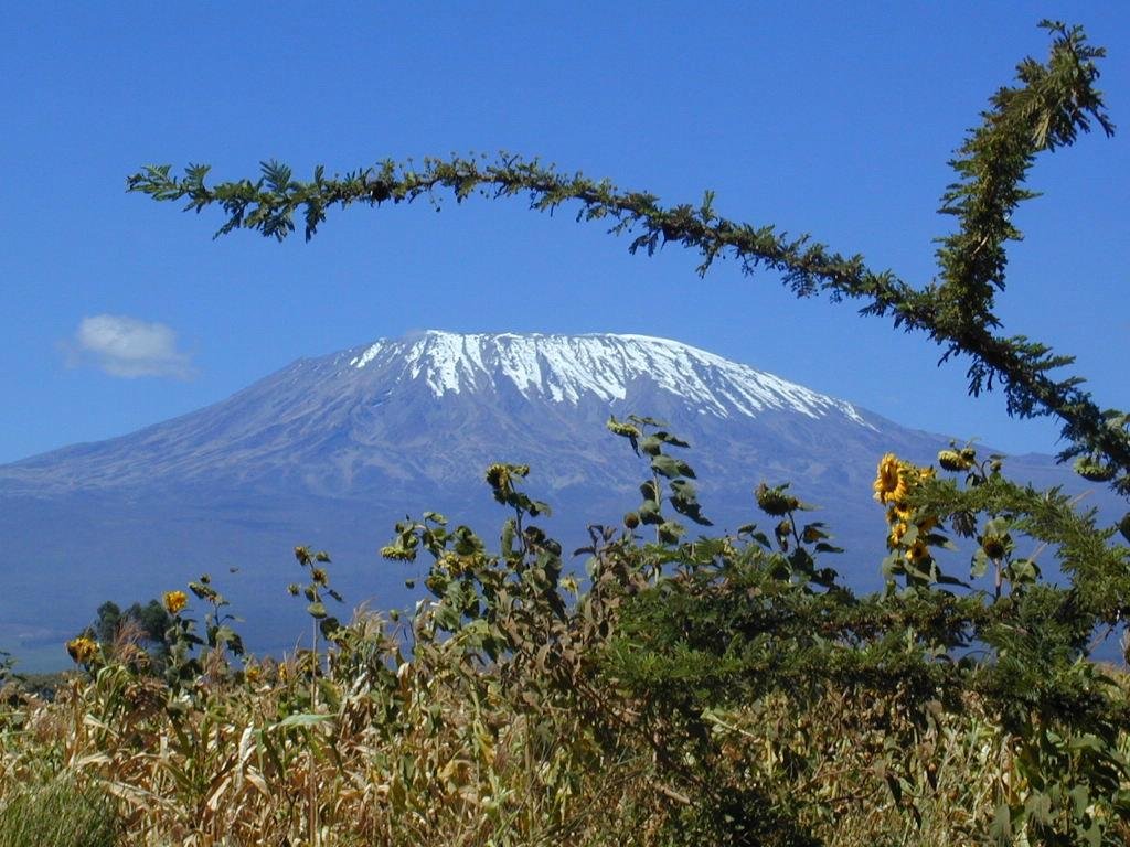 Mont Kilimandjaro (Kilimanjaro National Park) : 2021 Ce qu'il faut ...