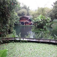 Lago Mindo pond