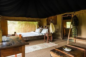 Room & Suite