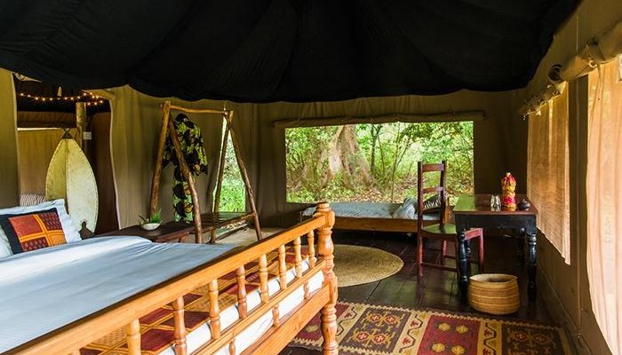 Simba tent