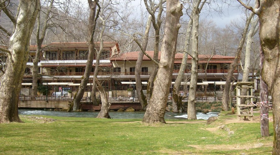 the hotel