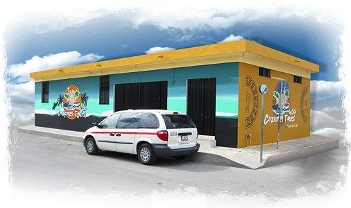 Introducir 98+ imagen cozumel tours by cab