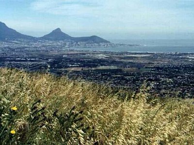 Monte Vista, South Africa 2024: All You MUST Know Before You Go -  Tripadvisor