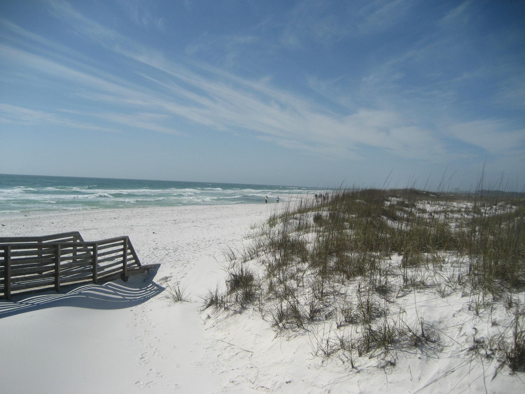 Capt. Anderson's Marina - Fishing & Cruising Tours (Panama City Beach ...