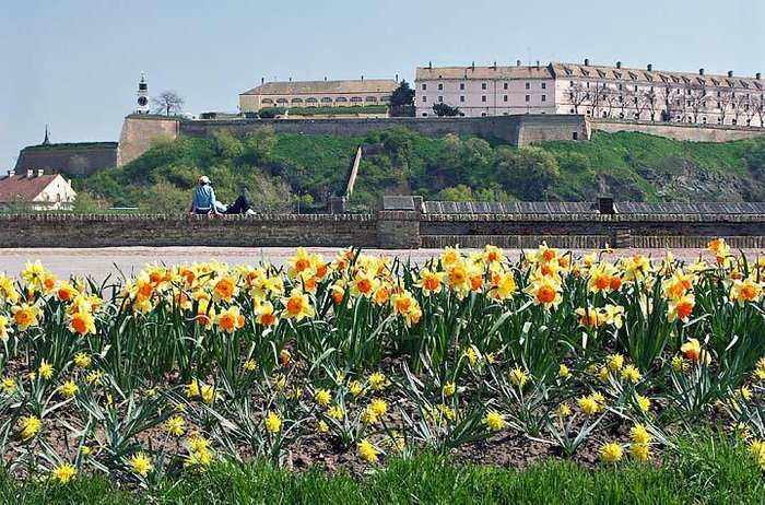Fort Petrovaradin genomen vanaf hoofdgedeelte Novi Sad