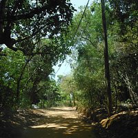 camino
