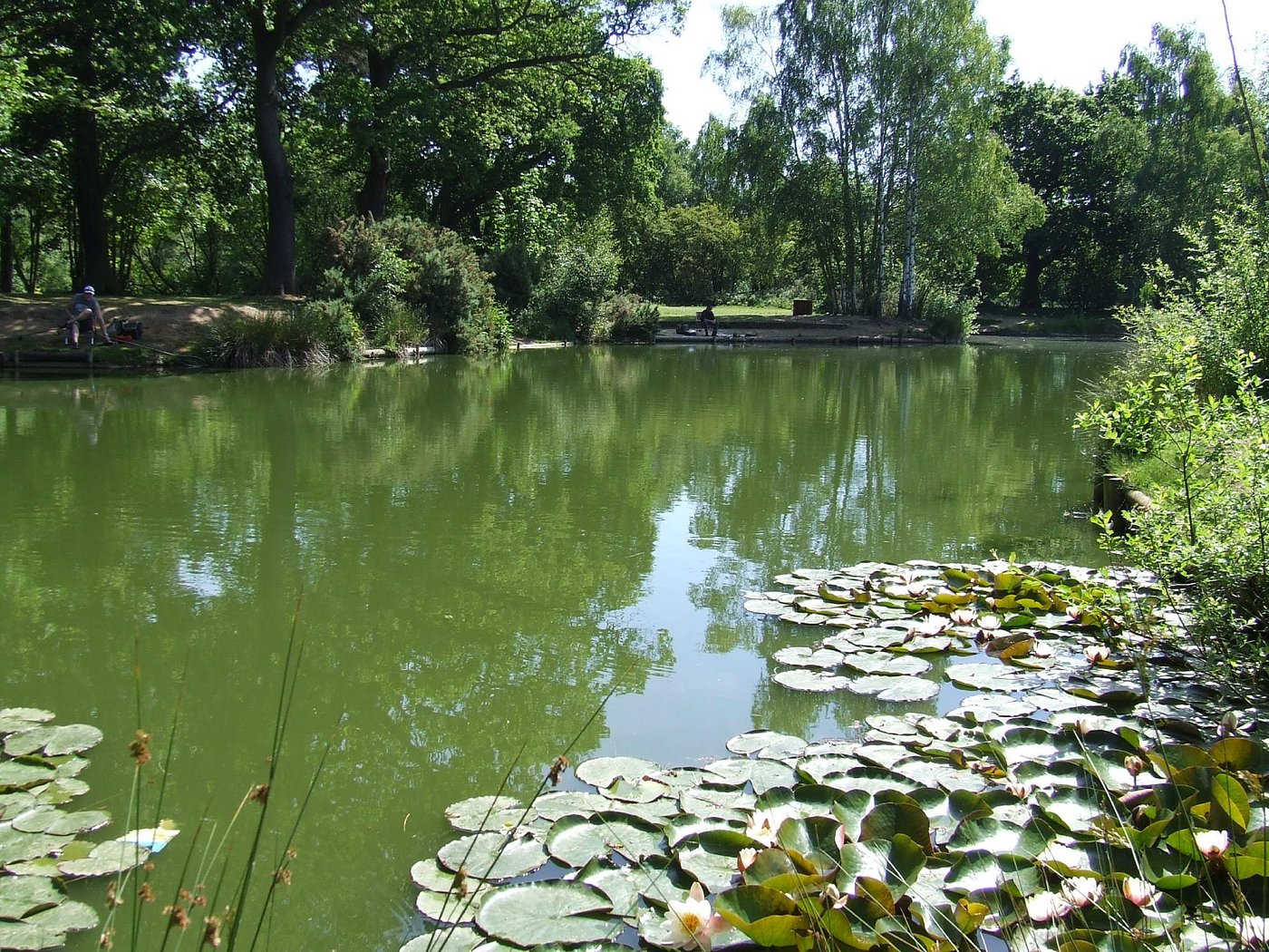 WOODLAND WATERS Ancaster ngiltere Kamp Alan Yorumlar Ve Fiyat woodland-waters-ancaster-ngiltere-kamp-alan-yorumlar-ve-fiyat