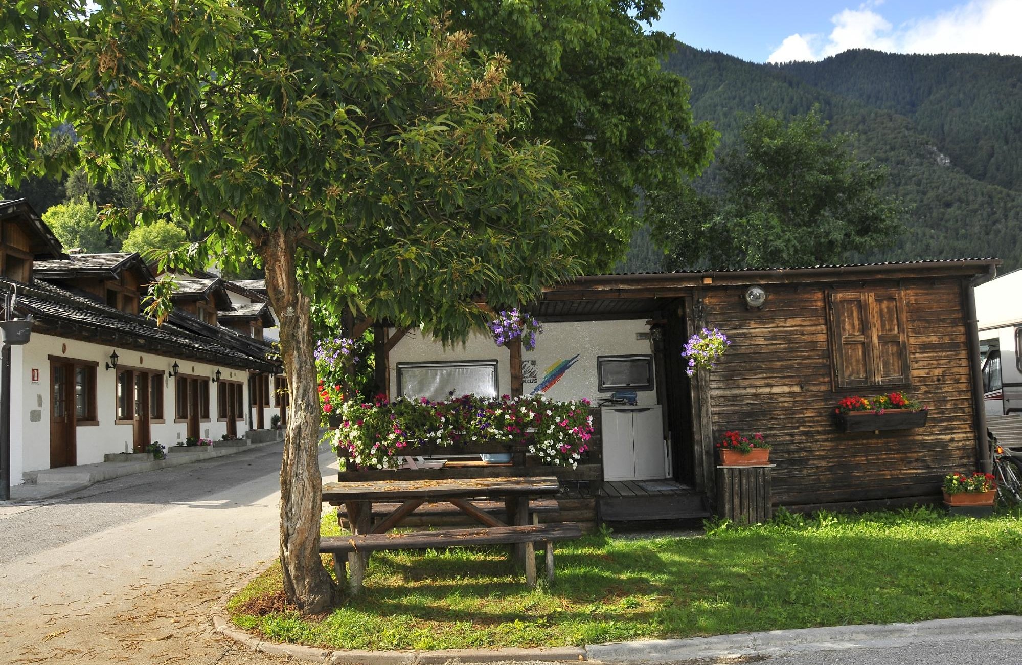Camping Adamello by null