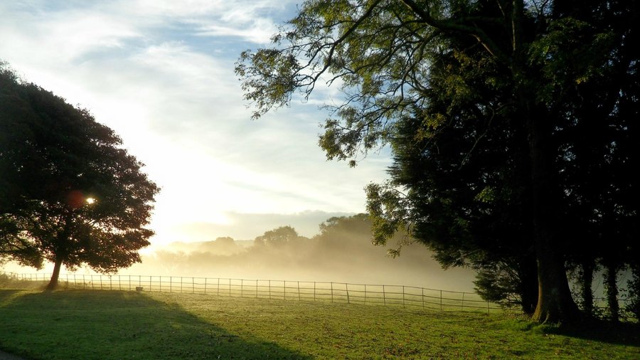 Sunrise on the front lawn