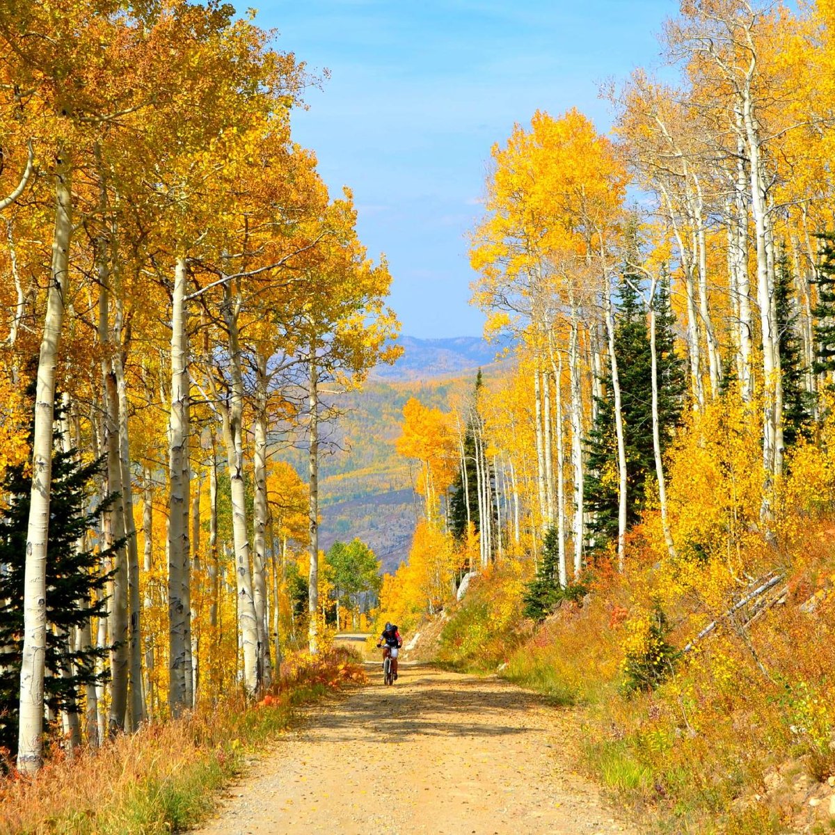 Steamboat Springs Chamber Resort Association Visitor Center