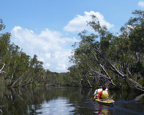 5 Water Sports to Try in Australia - Including Flying!