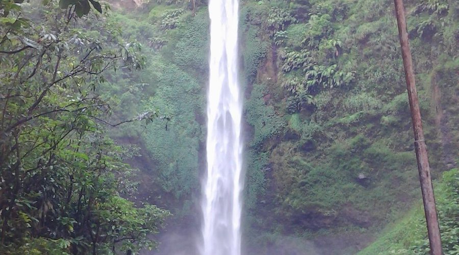 Picture of Coban Waterfall