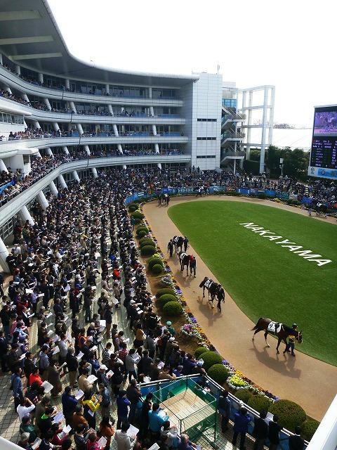 2025年 中山競馬場 - 出発前に知っておくべきことすべて 2025年 中山競馬場 - 出発前に知っておくべきことすべて