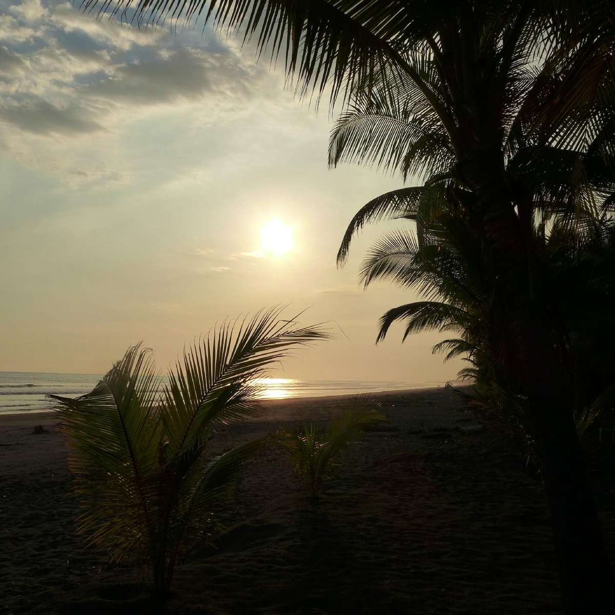 HOTEL LA ISLA $128 ($̶1̶4̶1̶) - Prices & Reviews - Costa Rica/Parrita