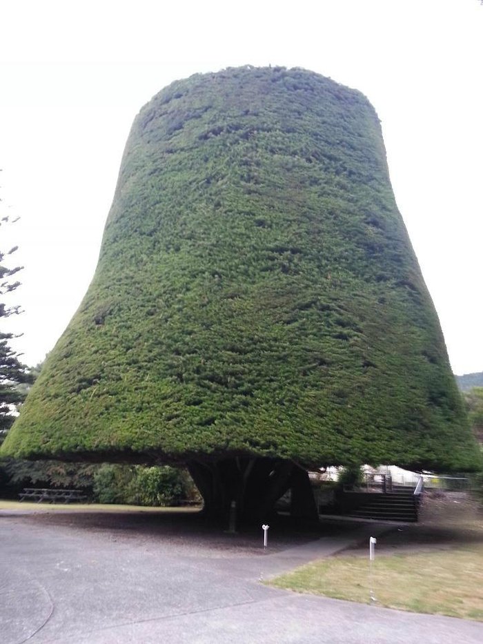 Bucket Tree Lodge