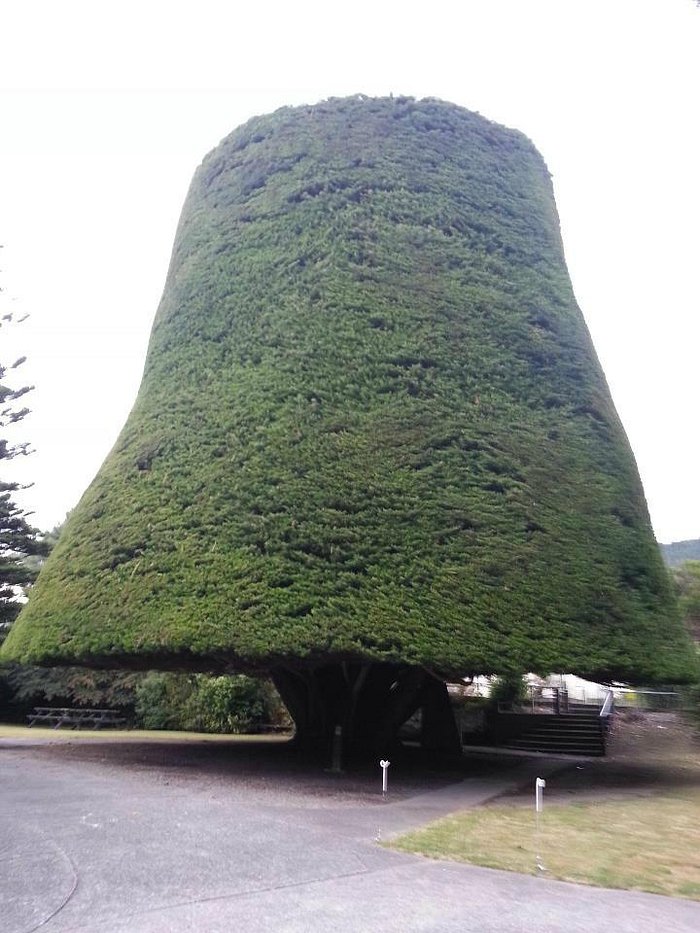 Bucket Tree Lodge Bucket Tree Lodge